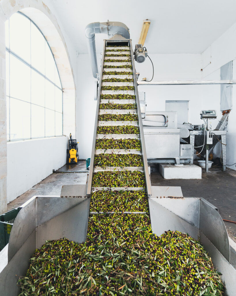 out-819x1024 (1).jpg